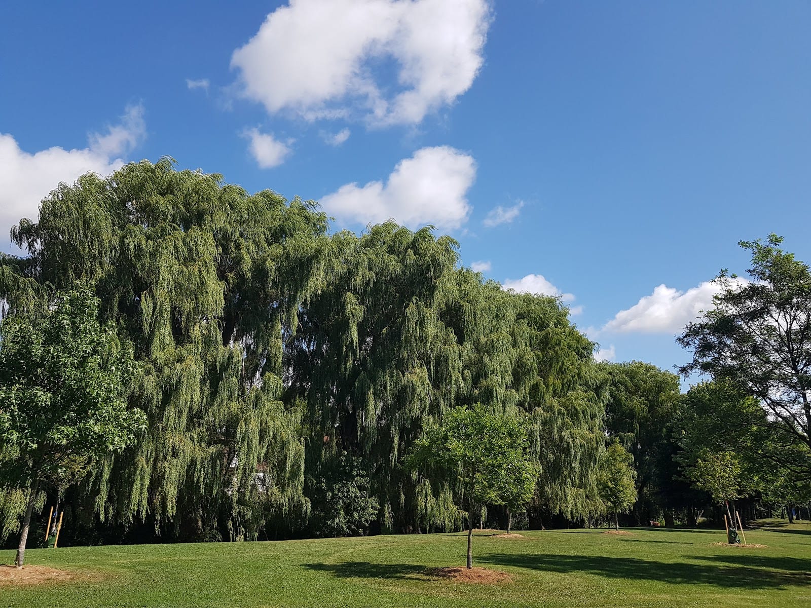 Viewmount Park
