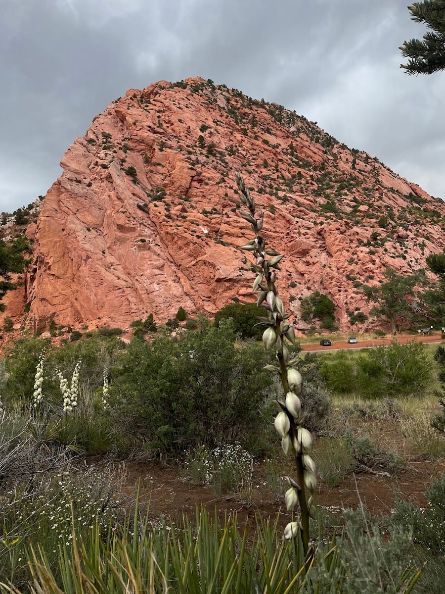 Cedar Canyon Trail, photo 3