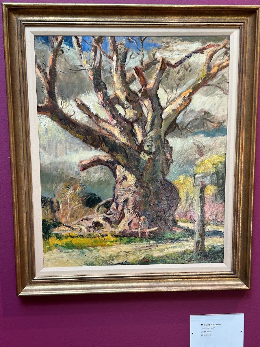 Patricia Thompson Gallery, photo 4