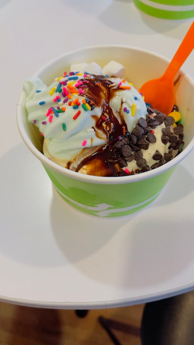 Tappy's Yogurt, photo 2