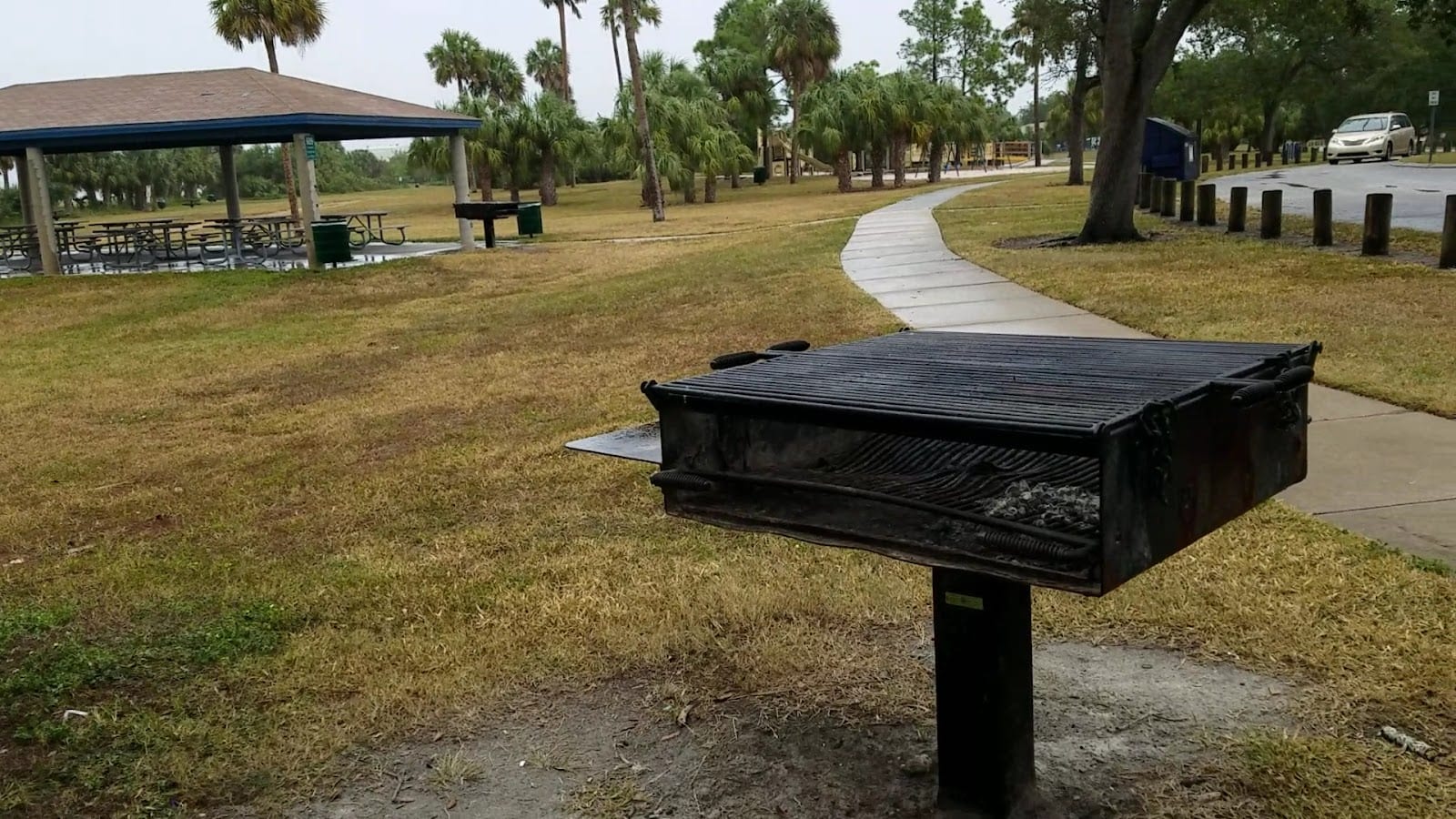 Dog Beach at Picnic Island Park, photo 2