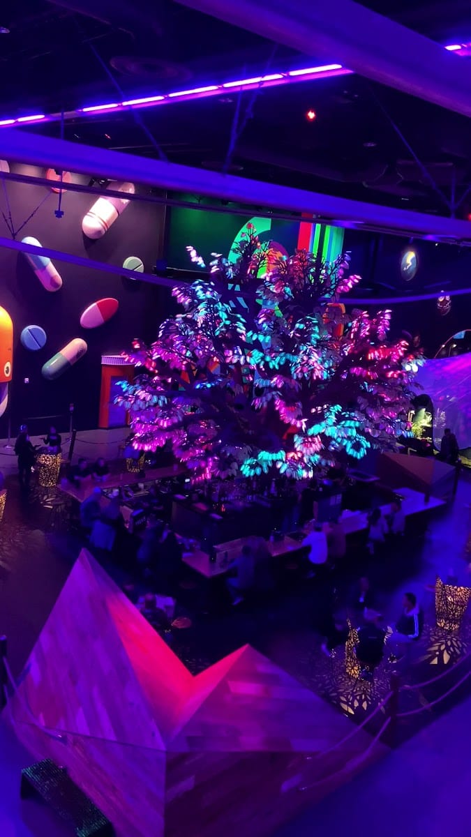 LIFTOFF Bar & Ride, photo 3