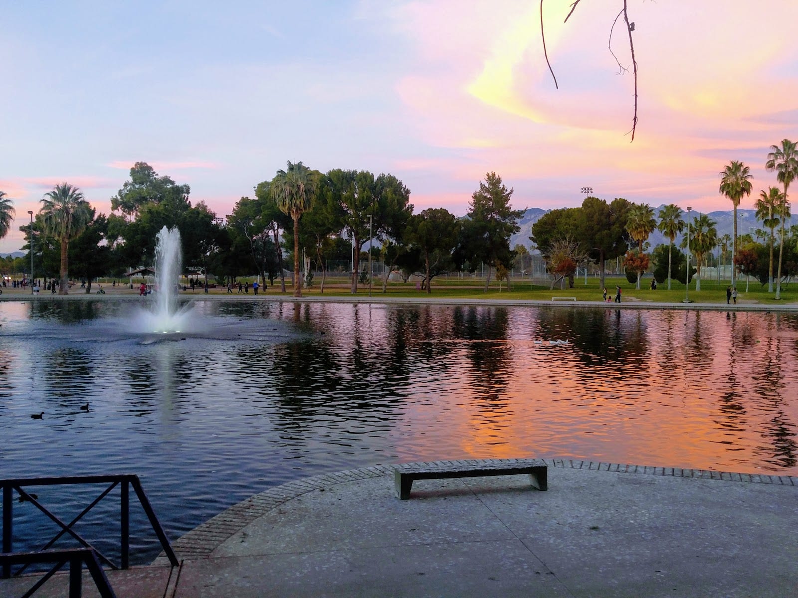 Reid Park Ramada #1