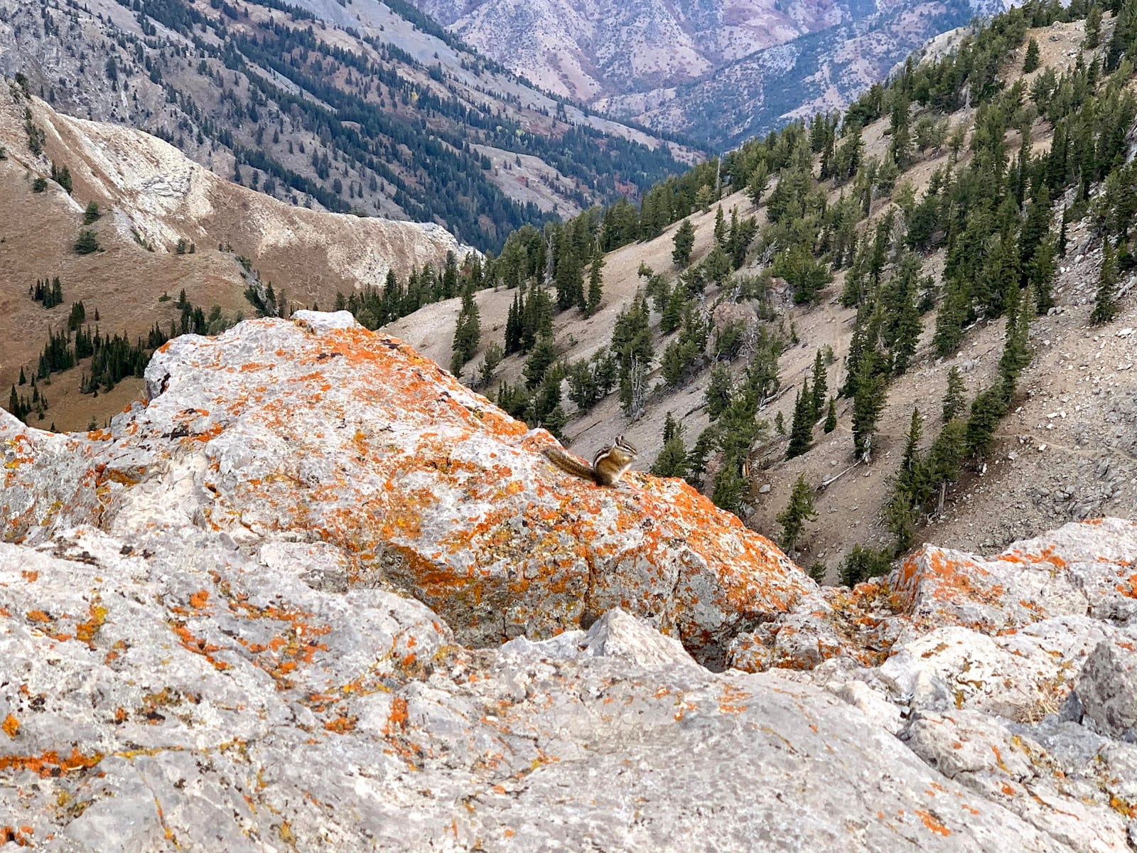 Naomi Peak Trailhead