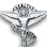 Price Chiropractic Scottsdale and Auto Accident Injury Chiropractor