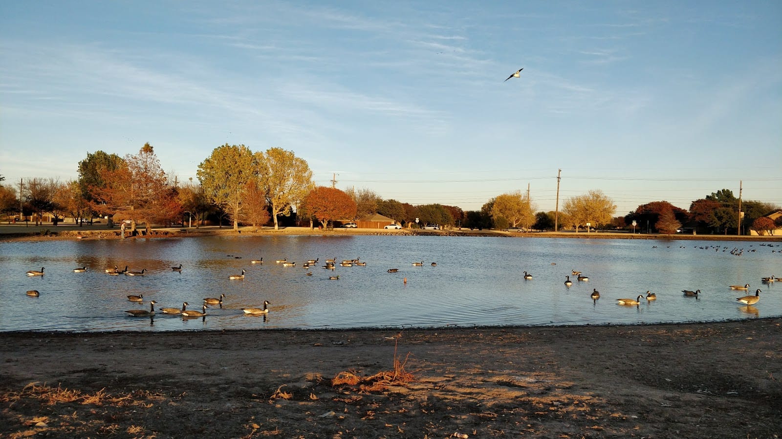 Jack Stevens Park