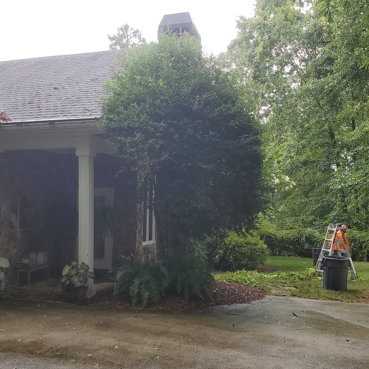 Watters & Associates Landscape, photo 2