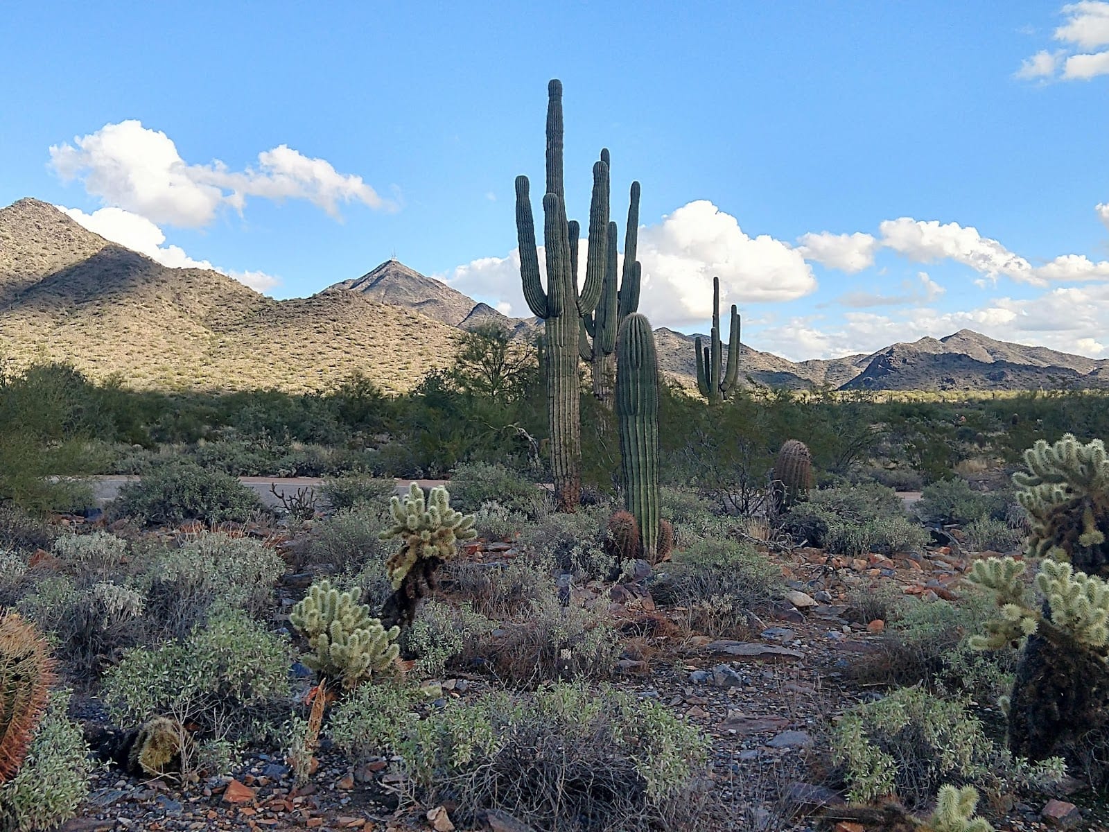 McDowell Sonoran Preserve