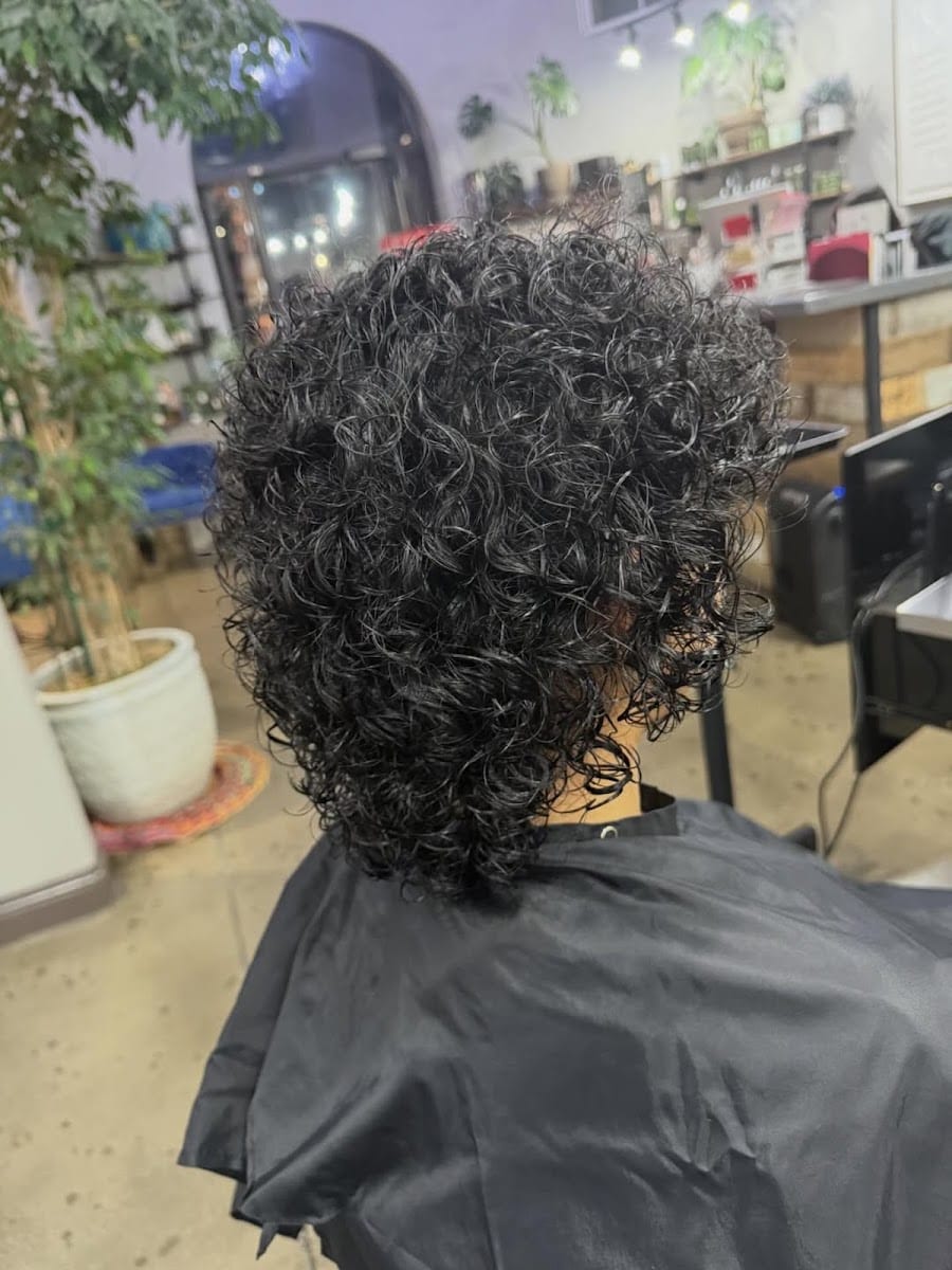 The Parlor Aveda
