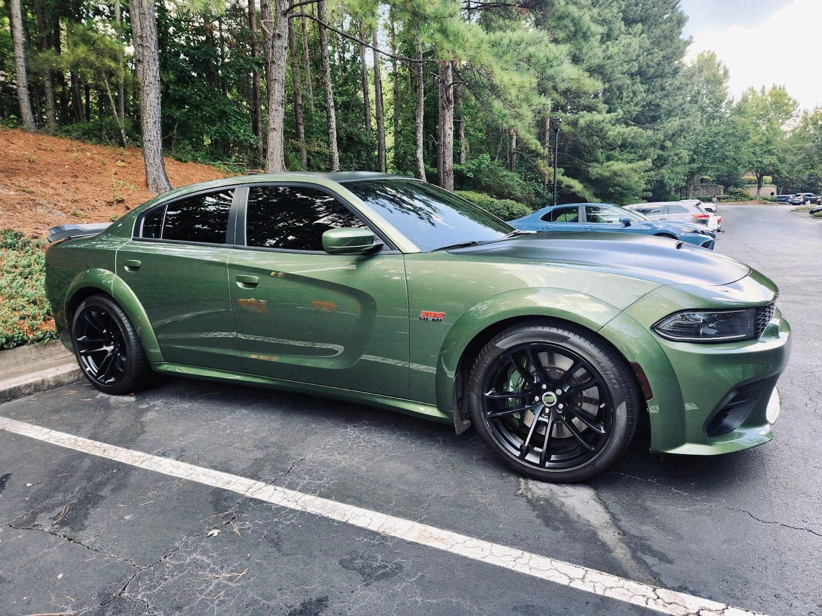 Shine Auto Detailing & Ceramics
