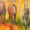 Sandy Hubler Fine Art