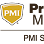 PMI South Tampa