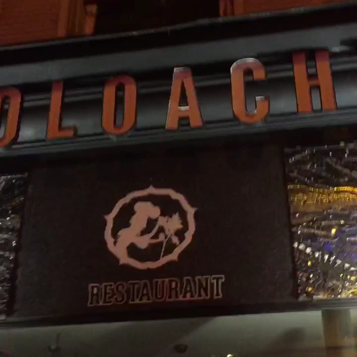Toloache, photo 3