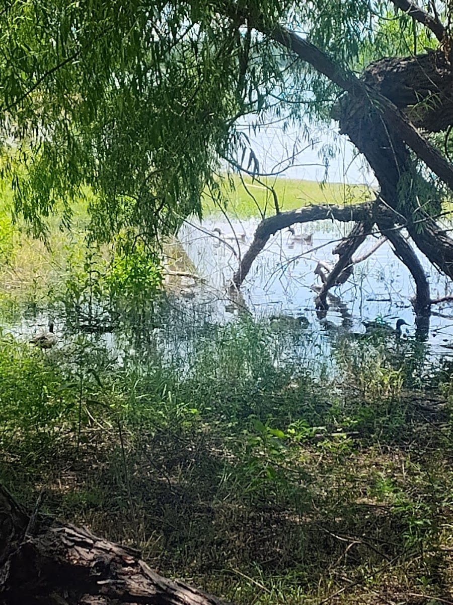 Point Vista Park Fishing Spot..🎣, photo 3