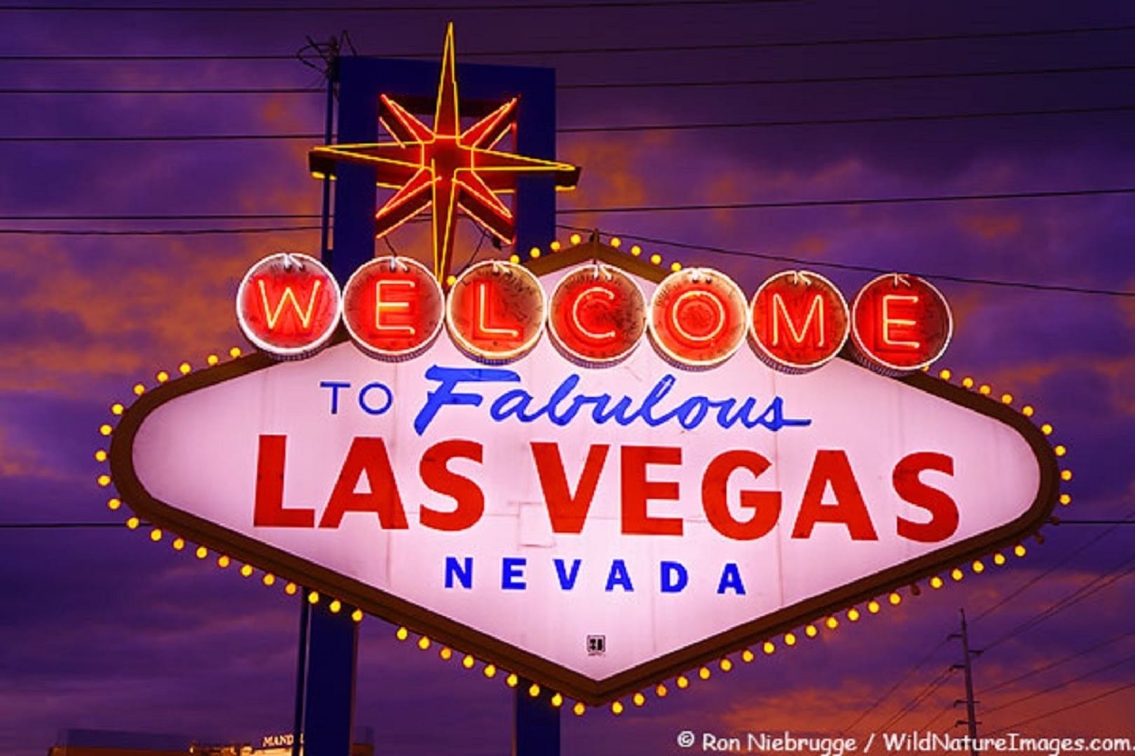 David M. Grant/ ERA Brokers Consolidated/Las Vegas, Nv