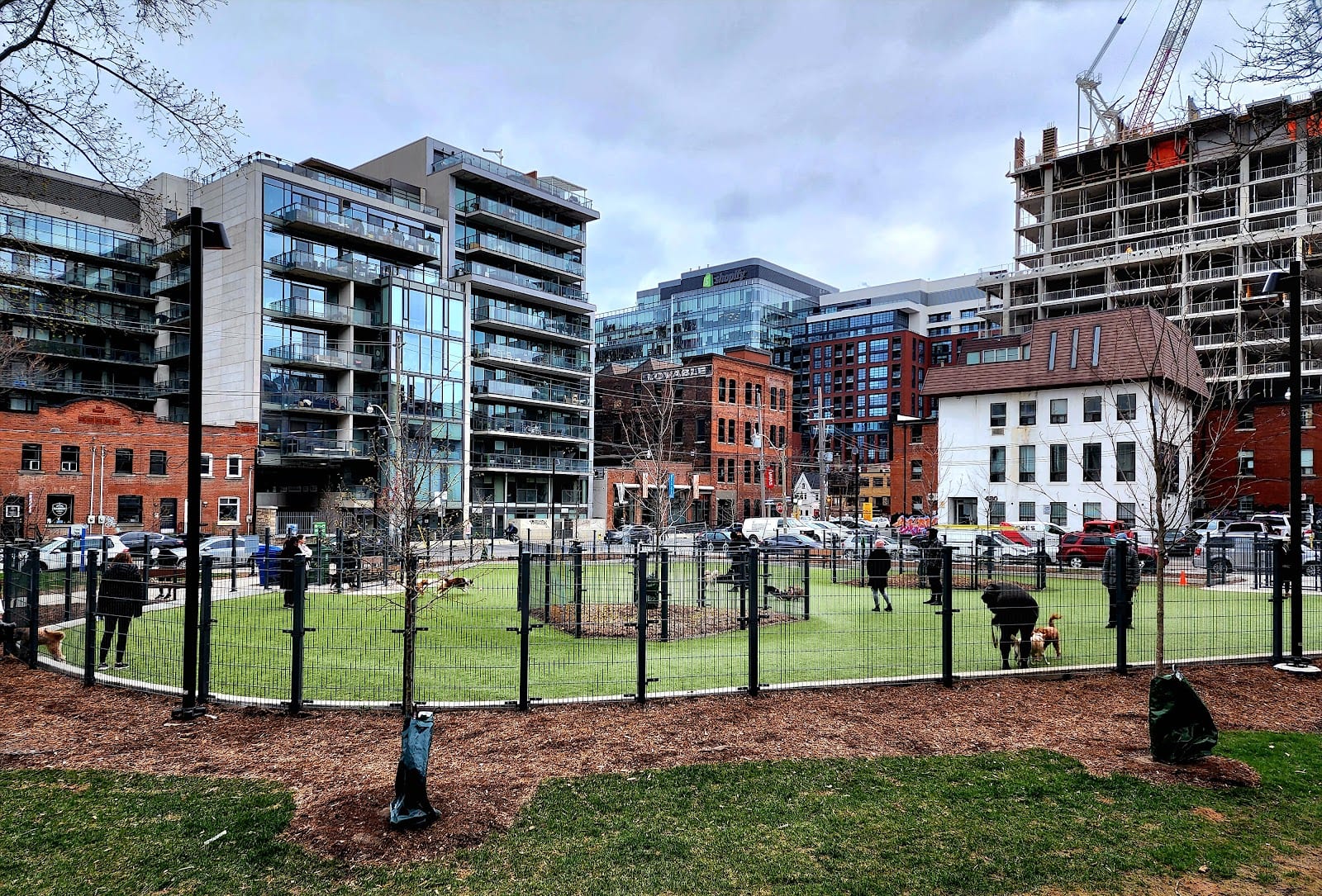 St. Andrew's Playground Dog Park