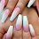Orchid Nail Sp