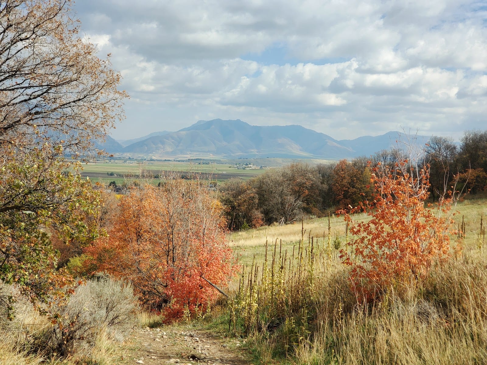 Murray Farm Trailhead, photo 3