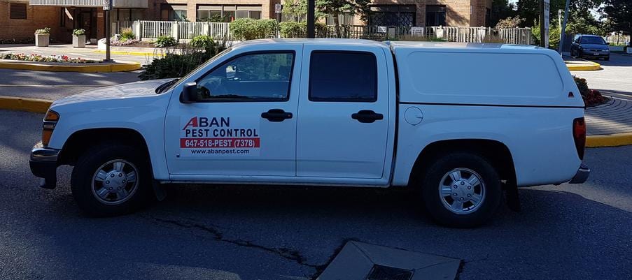 Aban Pest Control Inc., photo 2