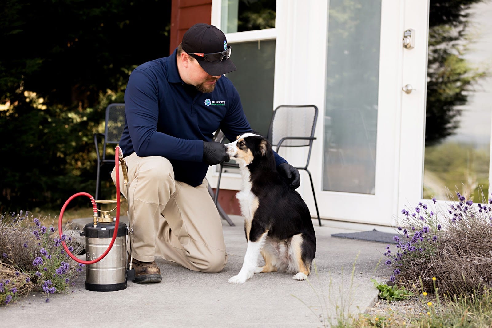 Interstate Pest Management, photo 4