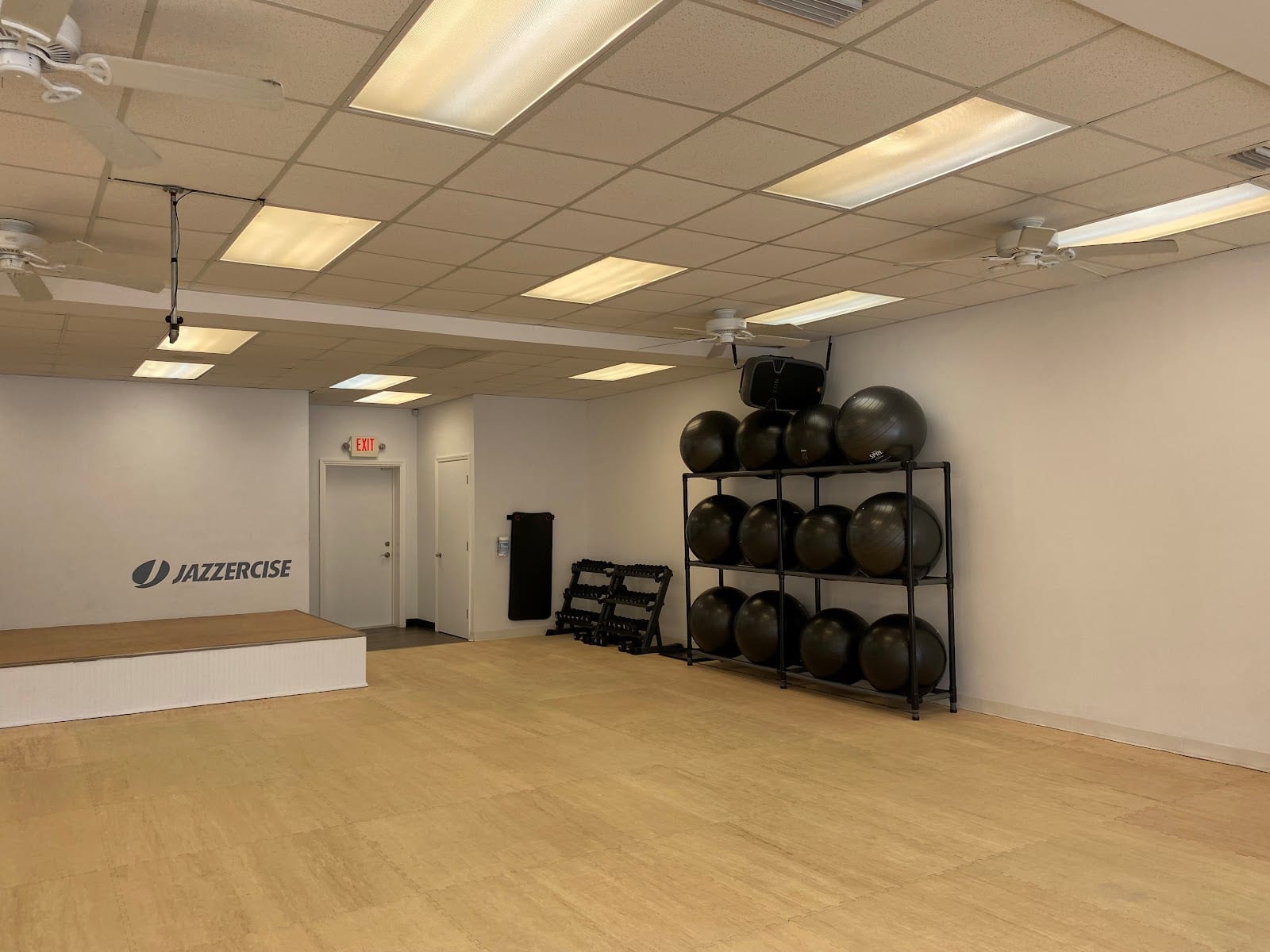Jazzercise, photo 4