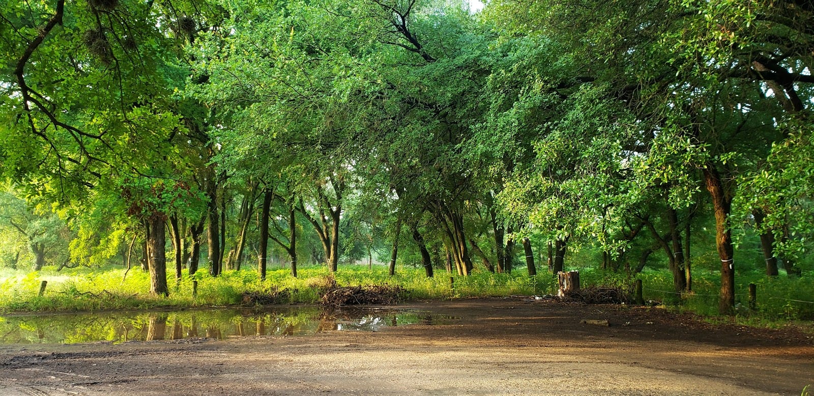 McNeil Park