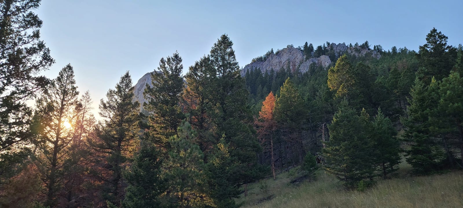 Tubbs Trailhead