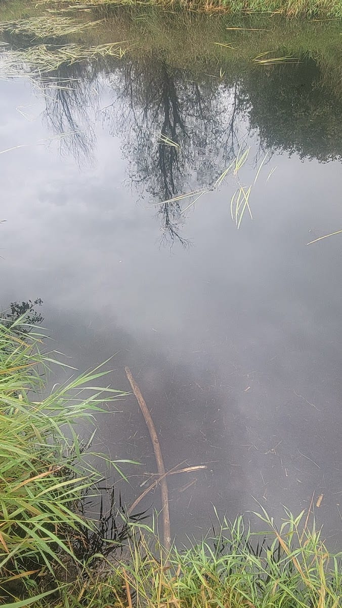 Black lake creek, photo 3