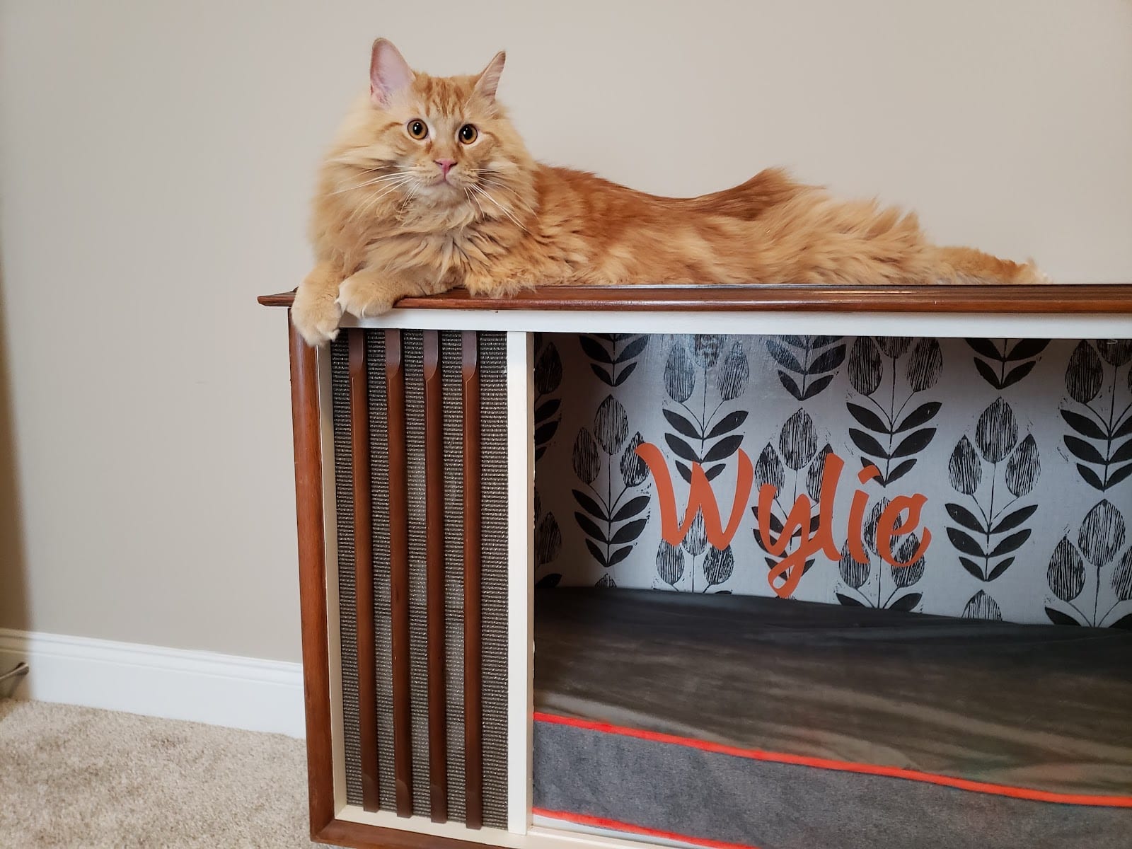 Companion Animal Care, photo 2