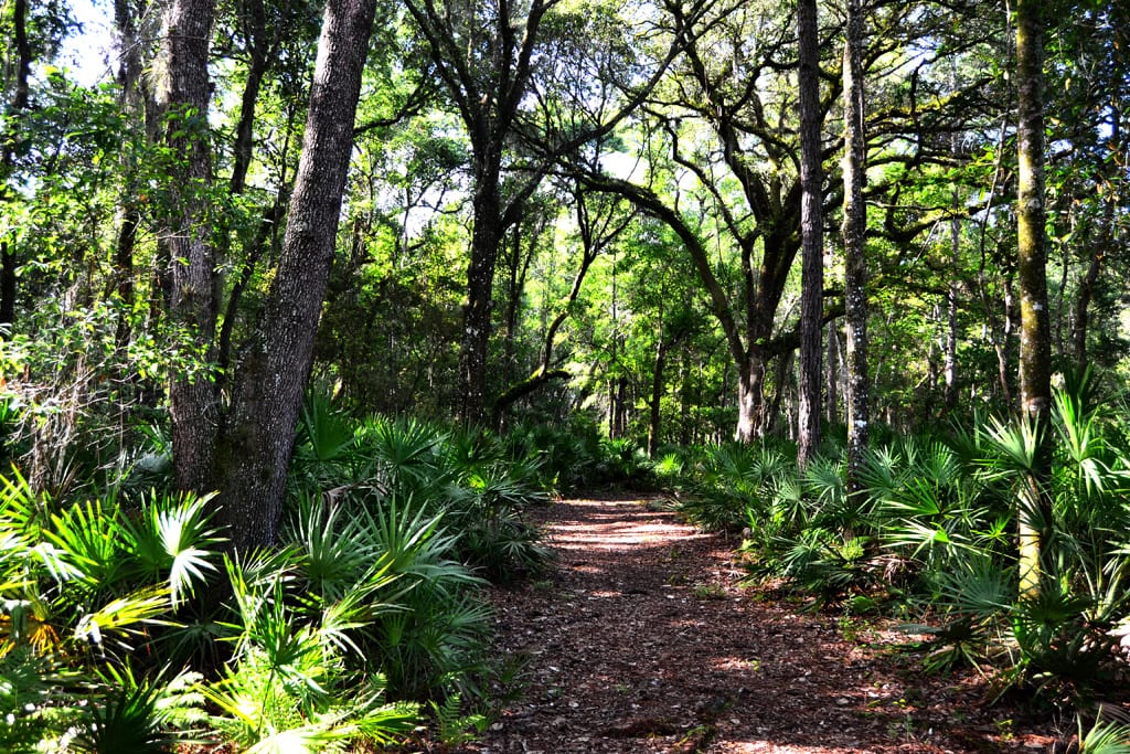 Bayard Conservation Area