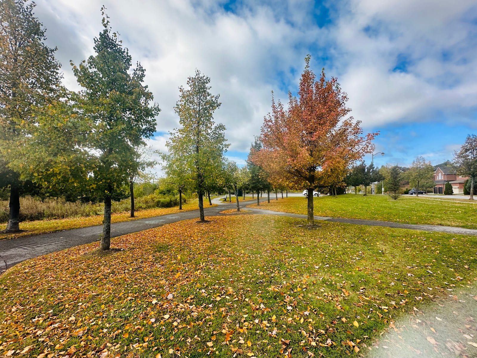 ✅ Monticello Park 🇨🇦, photo 2