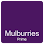 Harpenden Estate Agents Mulburries Prime