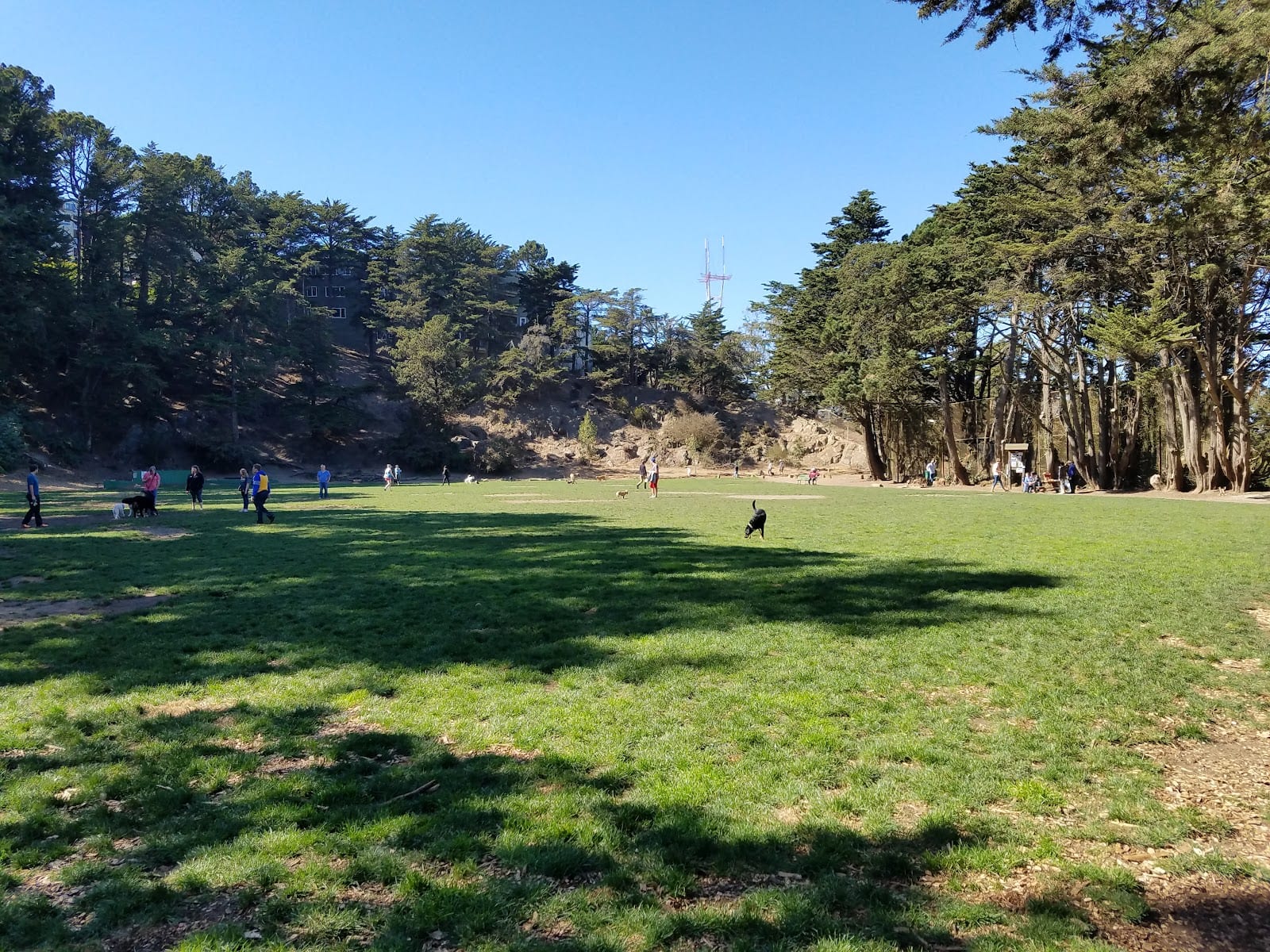 Douglass Playground