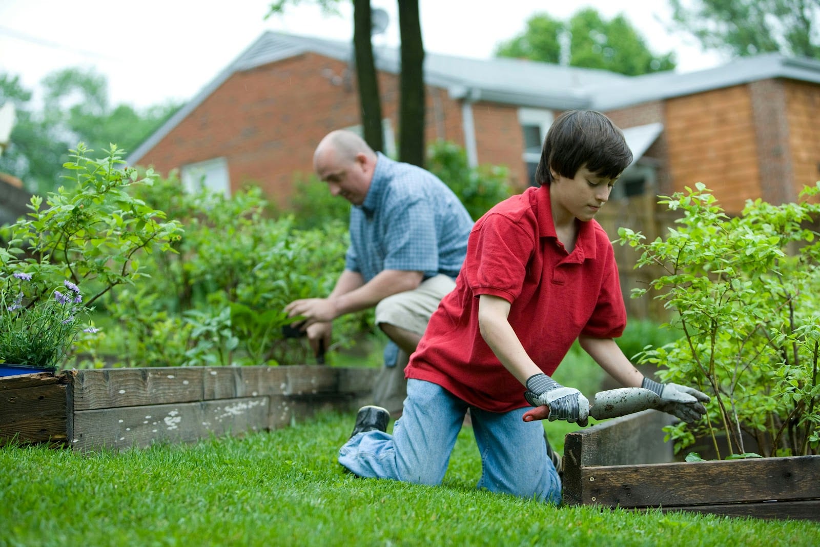 G & M Pest control Services, photo 4