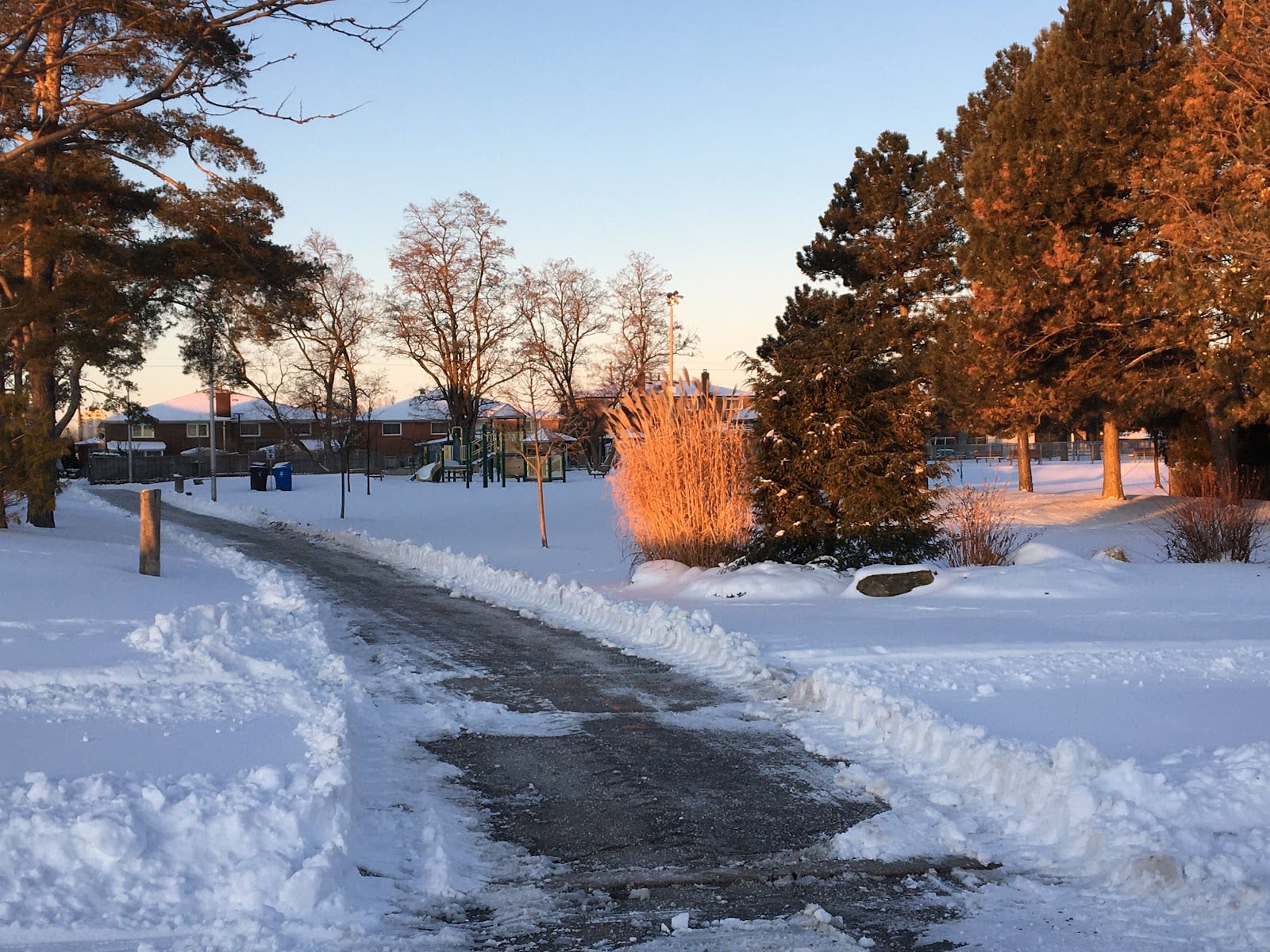 Plunkett Park, photo 3