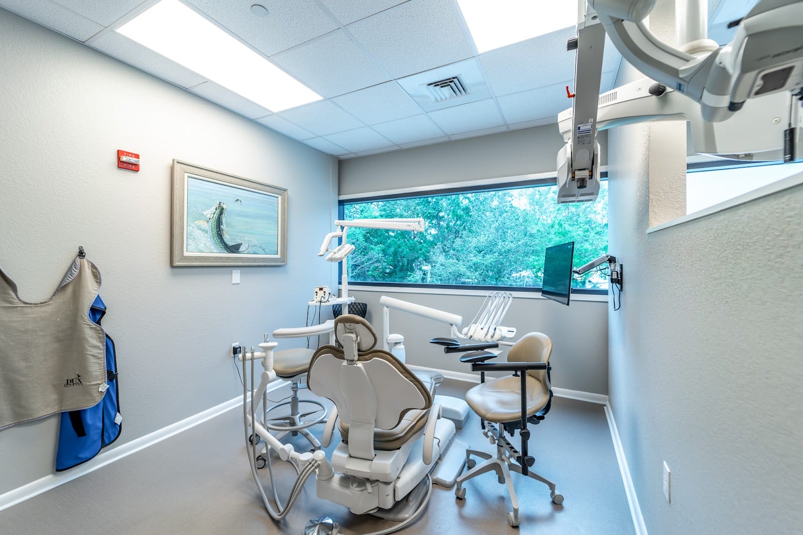 SRQ Endodontics, photo 3