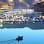 Markley Cove Resort