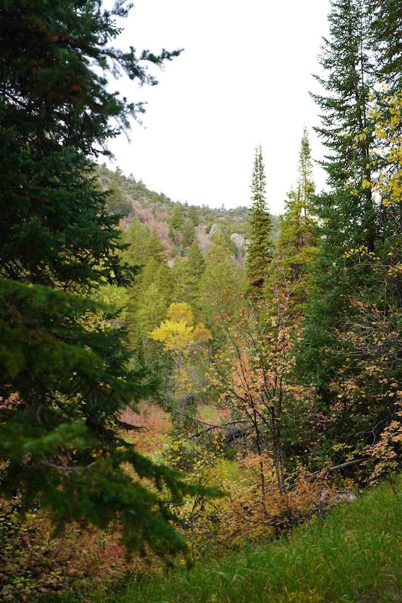 Smithfield Dry Canyon Trail, photo 3