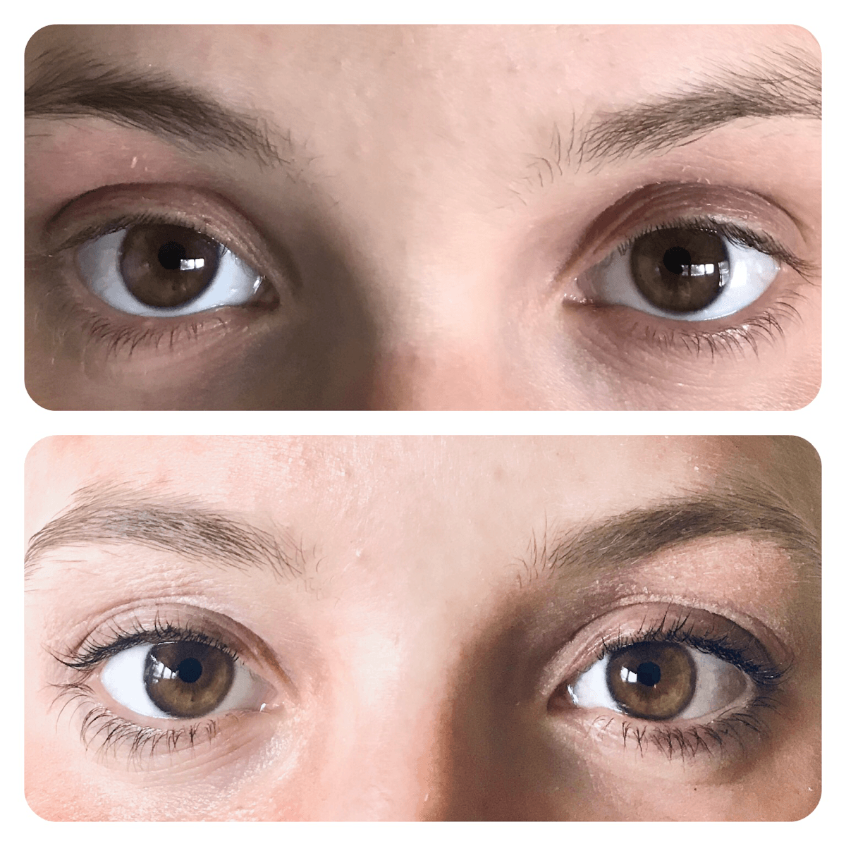 Eyelash Extensions - Oliya's Beauty Studio