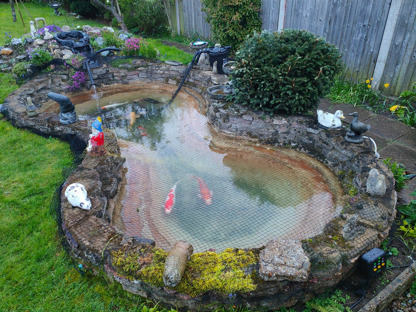 AquaFanatics - The Pond and Aquatic Specialists