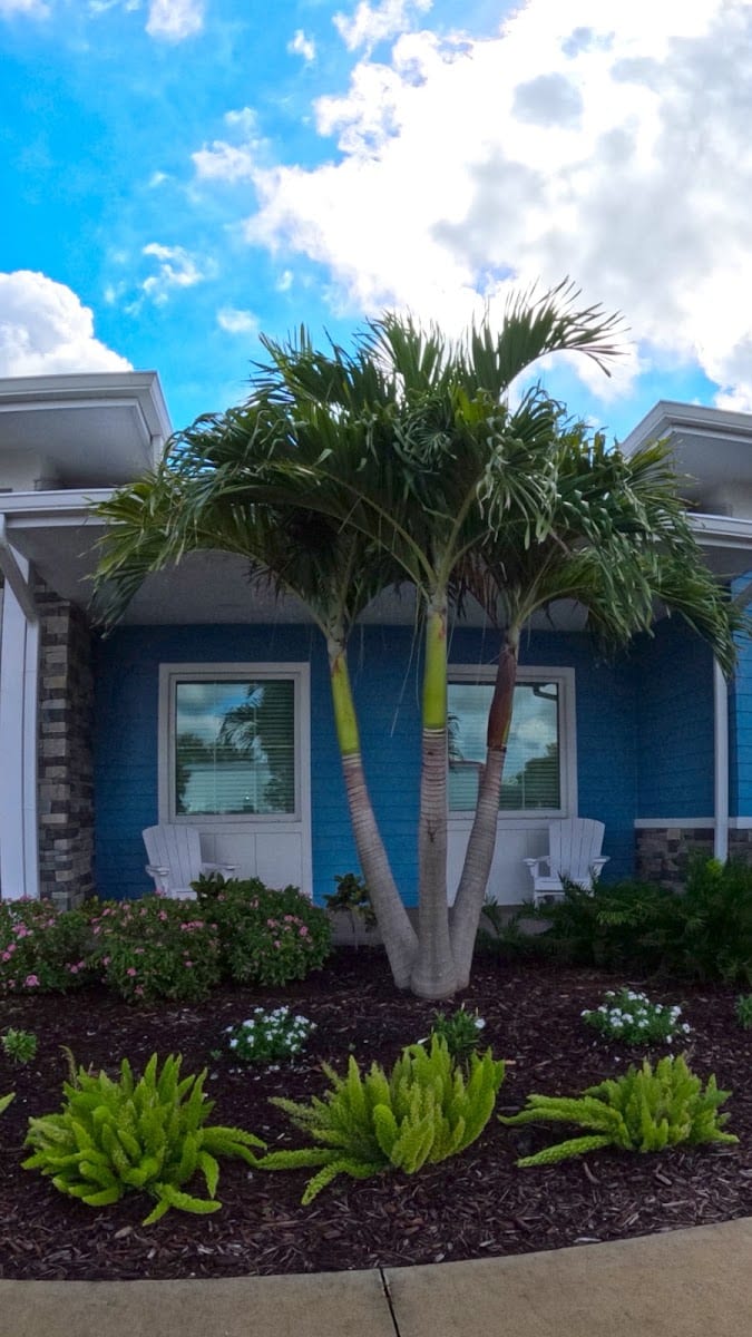 Silver Tree Therapeutic Massage LLC, photo 3
