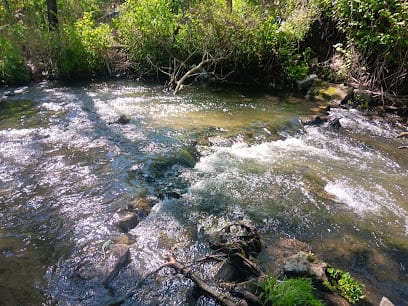 Spring Run Trail