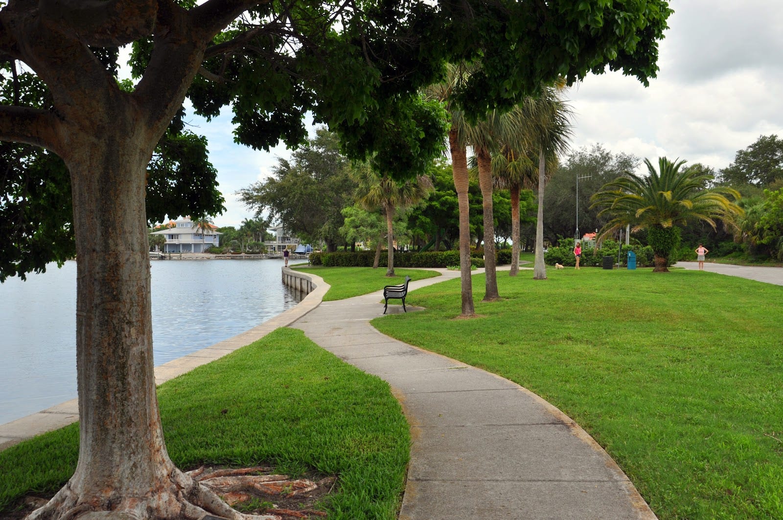 Sapphire Shores Park, photo 2