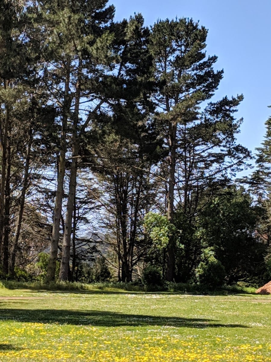 Rolph Nicol Jr. Playground