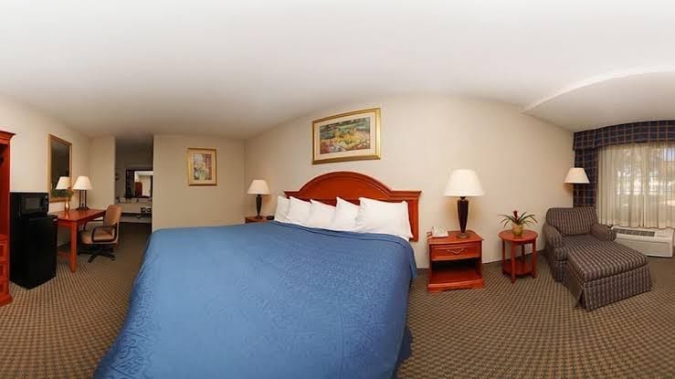Holiday Lodge, photo 3