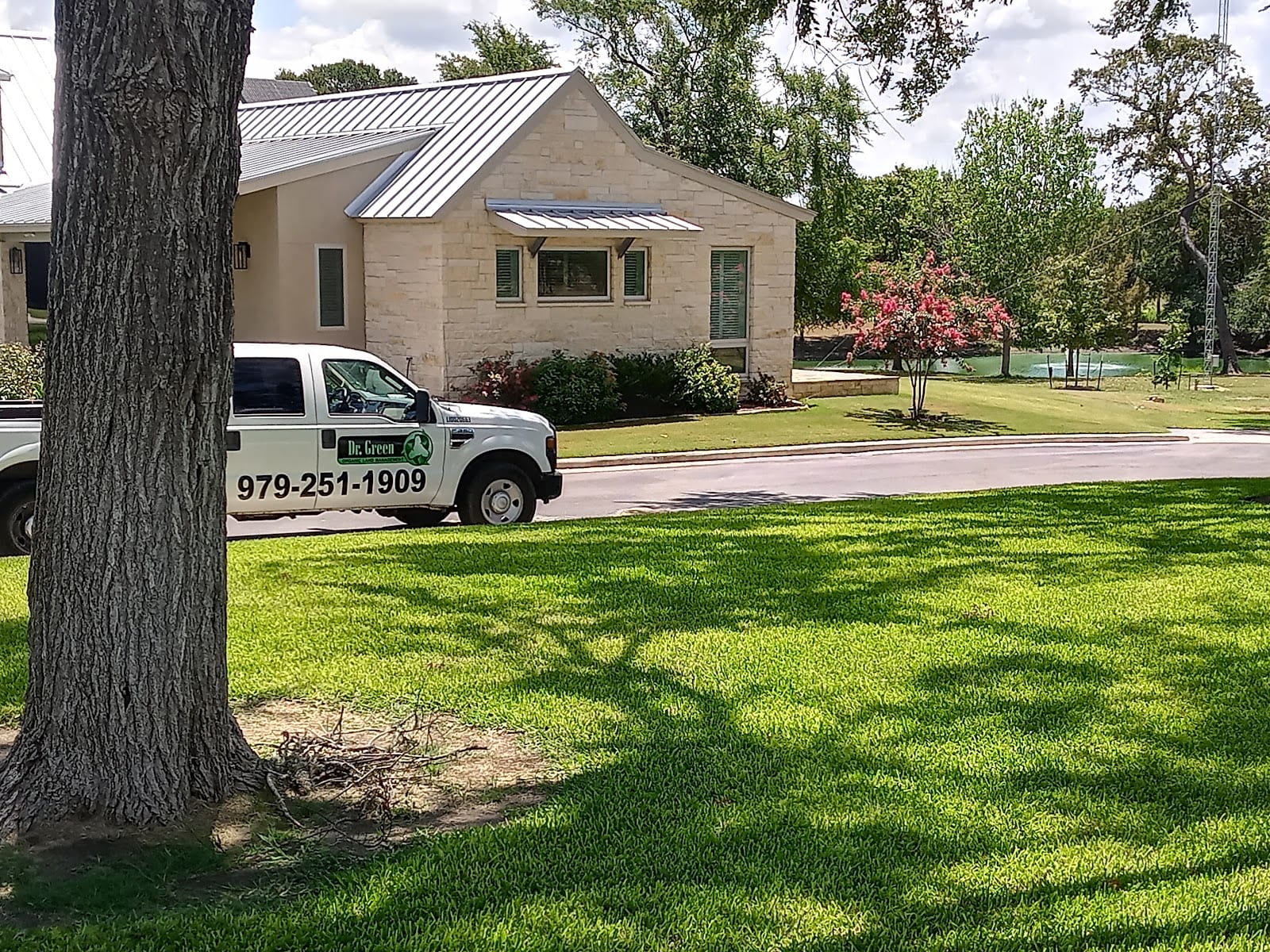 Dr.Green services, photo 2
