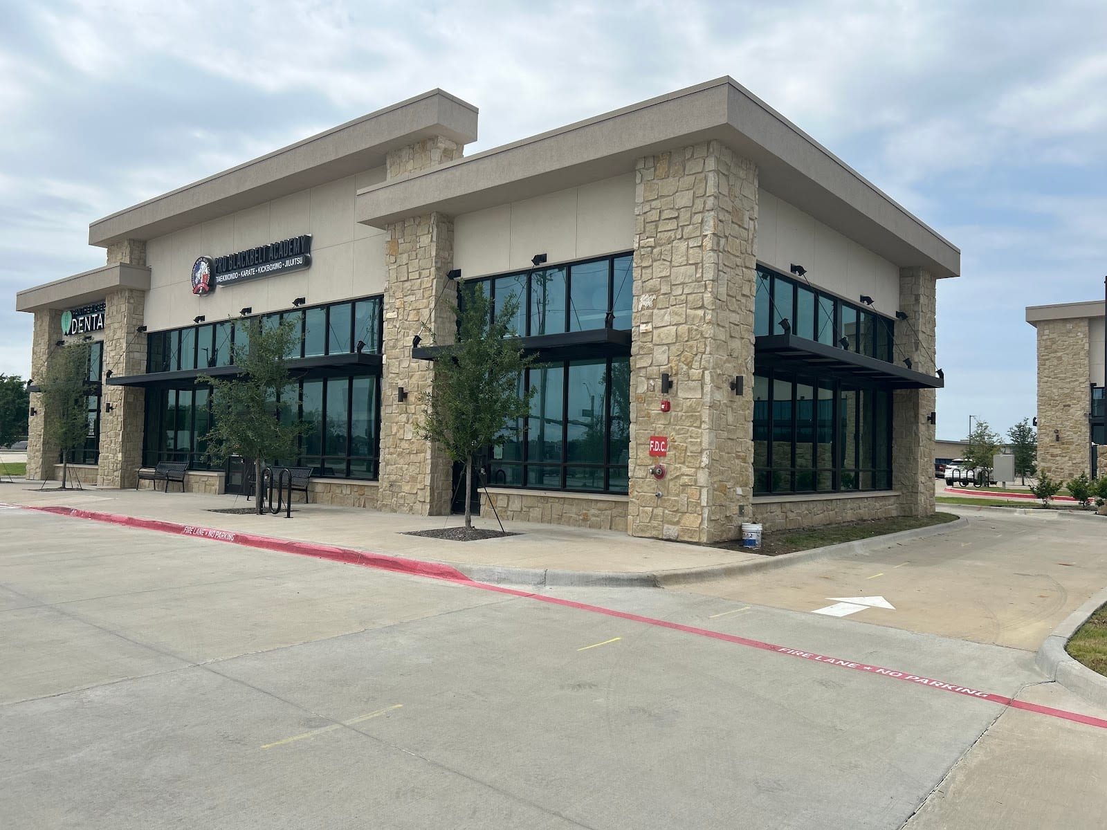 Professional Black Belt Academy - Frisco, photo 2
