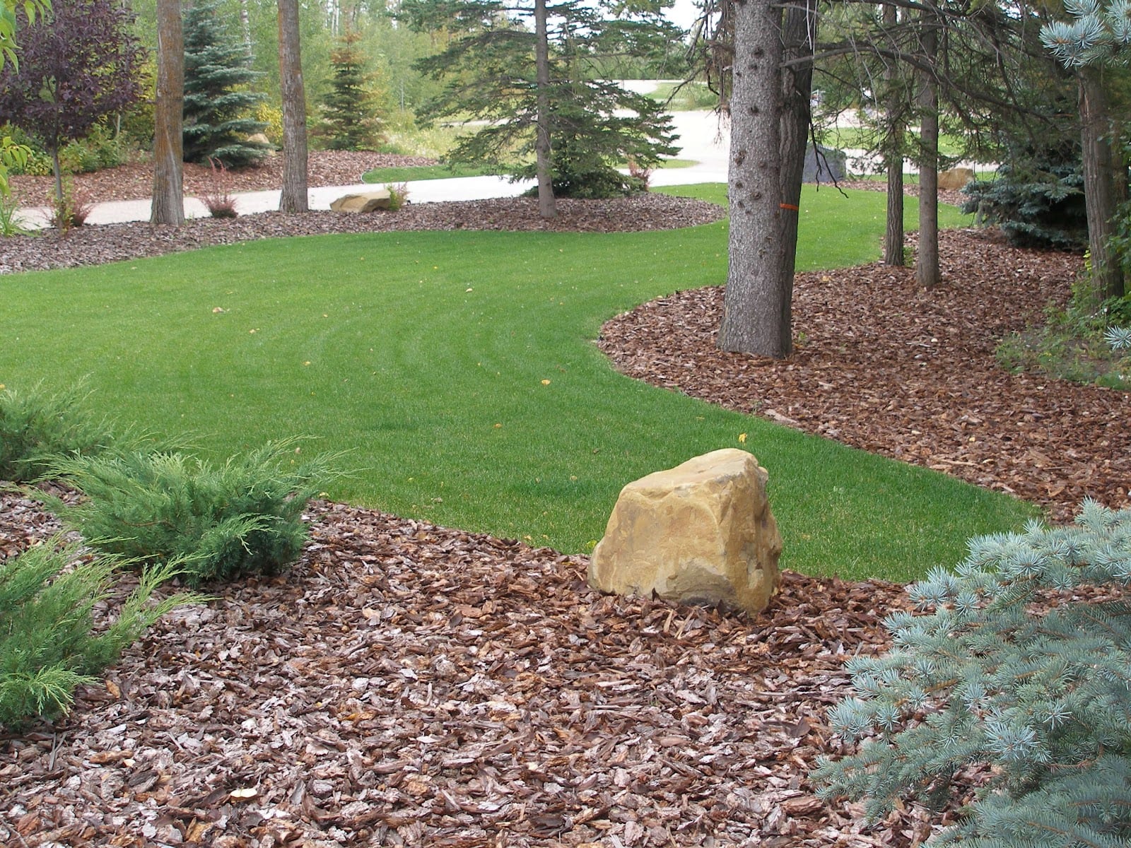 Bullet Bobcat Landscaping Services, photo 2