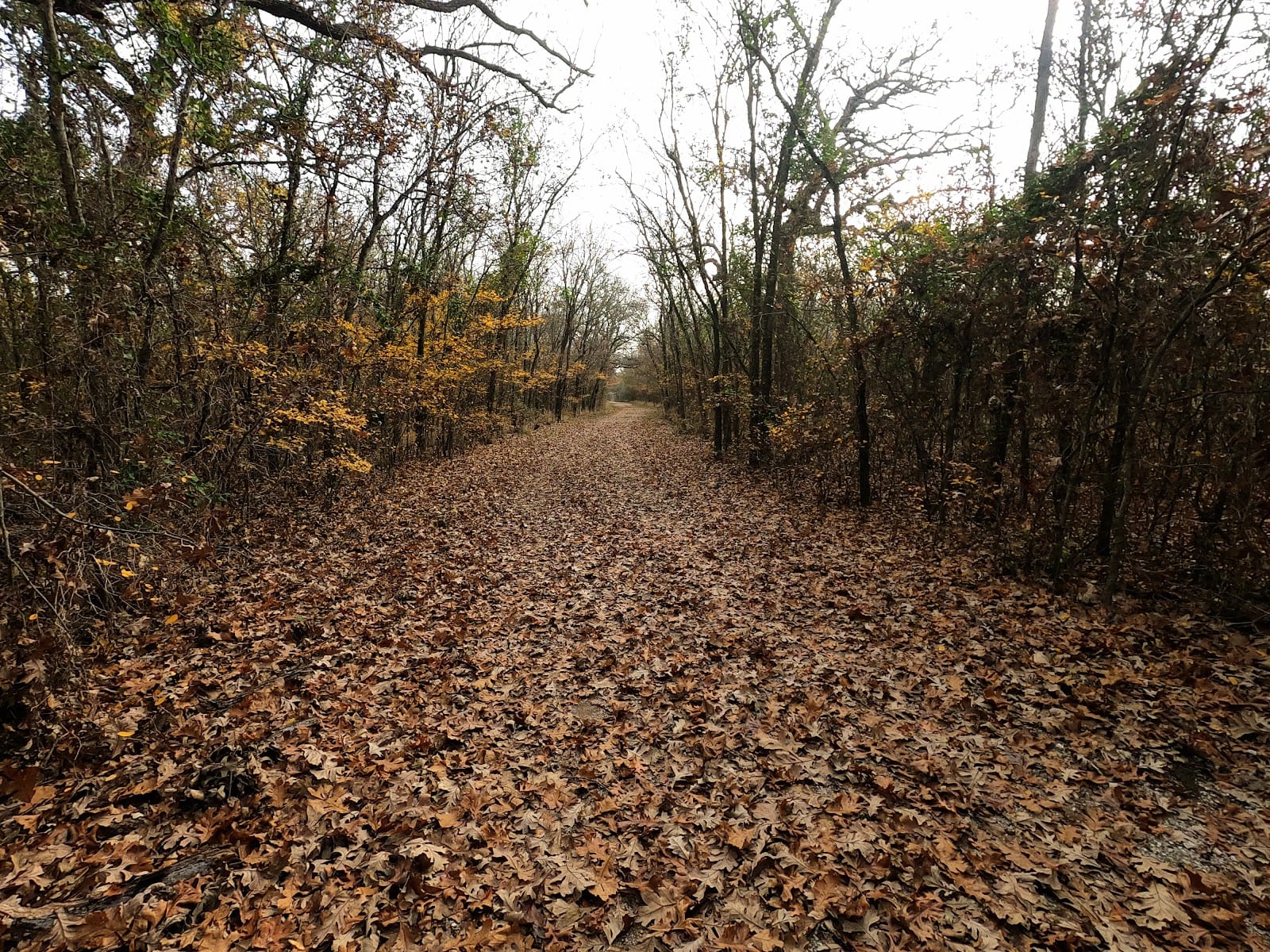 Ray Roberts Greenbelt Trailhead