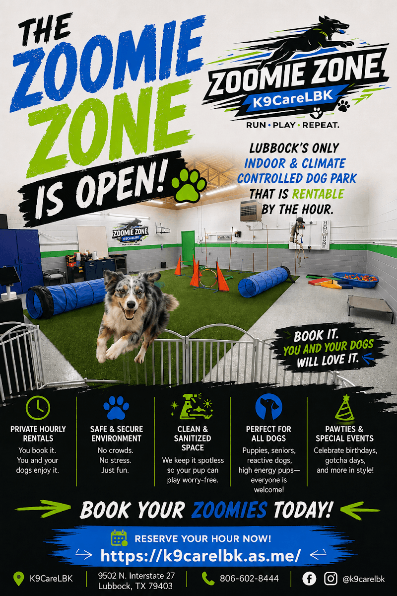 The Zoomie Zone, photo 2
